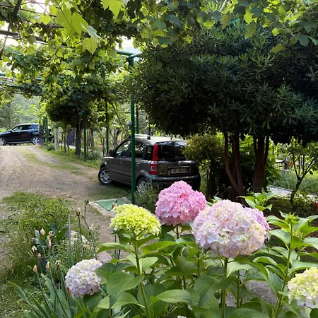 Lakeview Escape Prázdninový dům *
