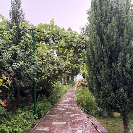 Vakantiehuis Lakeview Escape